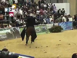 Gran campeonato de yeguas Trocha pura Agroexpo 2013