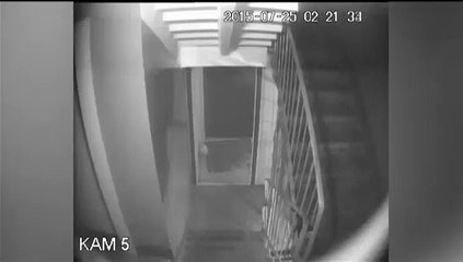 "La mamie éventreuse", soupçonnée de plusieurs meurtres, arrêtée en Russie