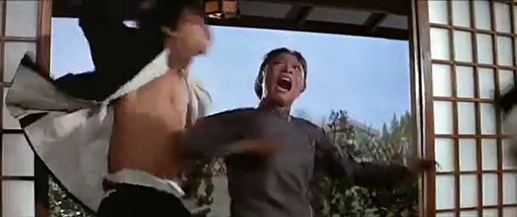 Angela Mao: hapkido contro karate