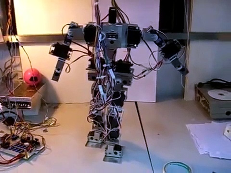 Humanoid robot