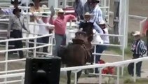 Horse Crashes Twice at Cheyenne Frontier Days Rodeo