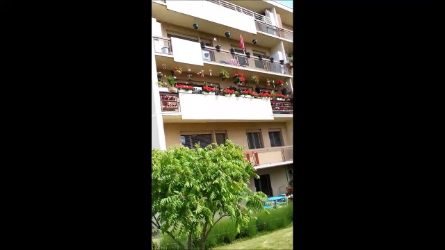 Balade in NYON: alinovitch 007 walking (31.07.2015) in NYON