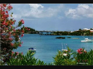 Collie Buddz- Mary Jane