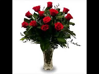 Roula and Ryan's Roses 02/12/15 Followup