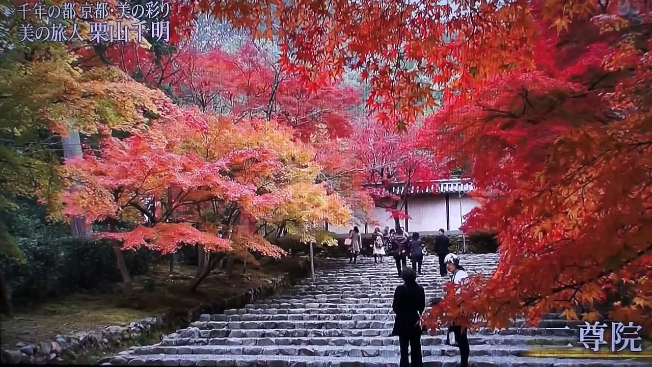 秋の京都と懐石料理（日）