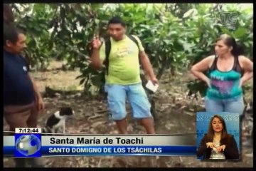Niño se pierde durante 26 horas en el monte de la provincia Tsáchilas