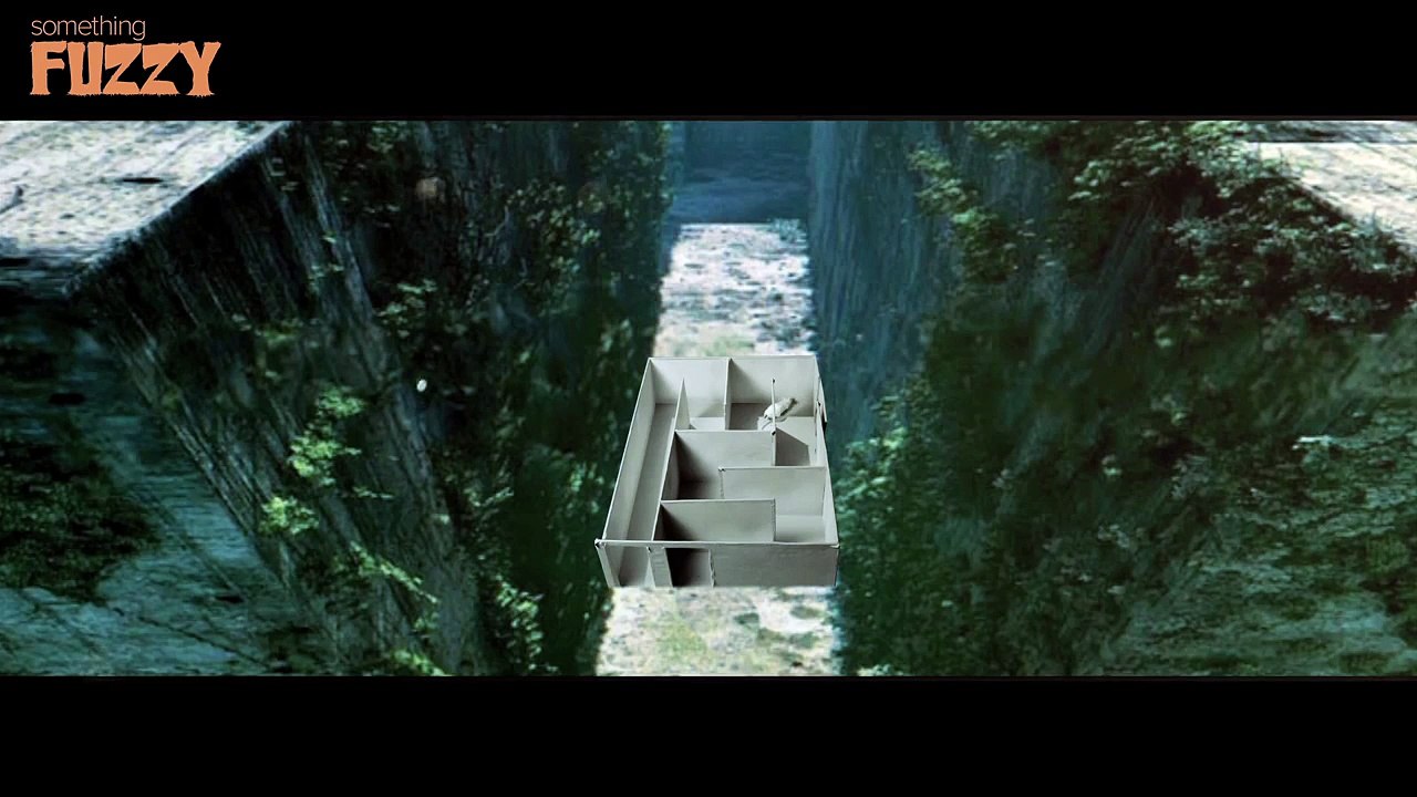 The Mazerunner- A Something Fuzzy Parody!