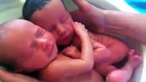 Bebes gemelos no se dan cuenta que nacieron.