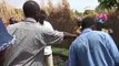 Wetlands supporting livelihoods in Malawi and Zambia