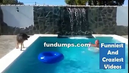 This is why dogs are the best!!