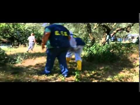 Viterbo - 51 cani in un lager tra i topi: salvati dalla Forestale (31.07.15)