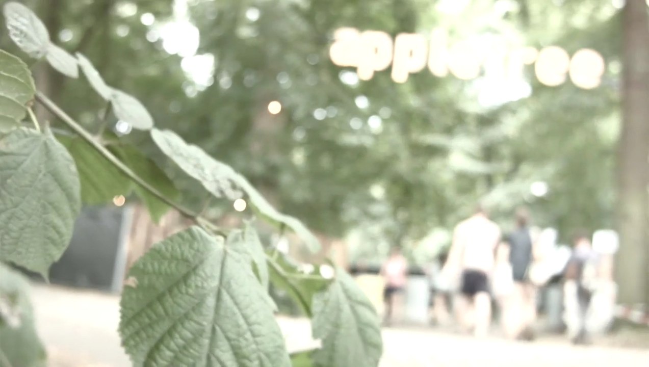 Appletree Garden Festival 2015 in Diepholz