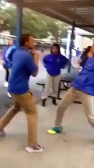 That kick knocked him out