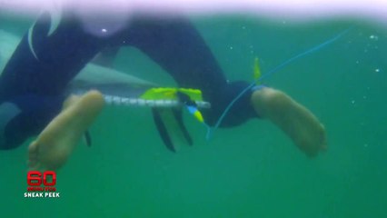 Mick Fanning vê tubarão na Austrália