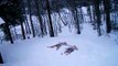 Jackass Like Snow Angels in Vermont, 4 Minutes in the snow