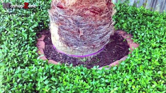 Best of de nos amis les bêtes !