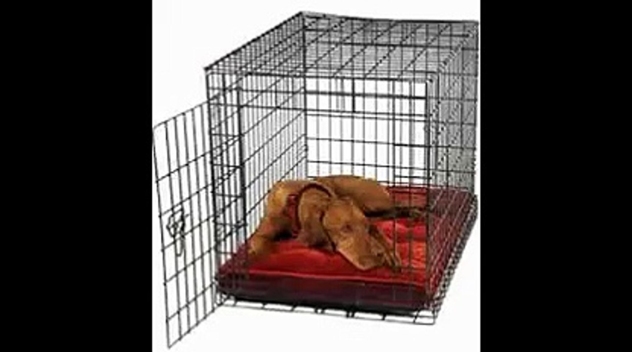 Crate For Dog