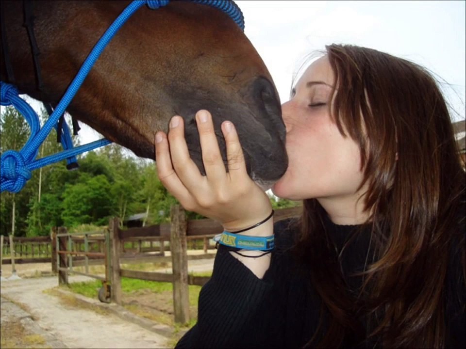 Phoenix un trotteur d'exception. Hommage a toi mon grand!