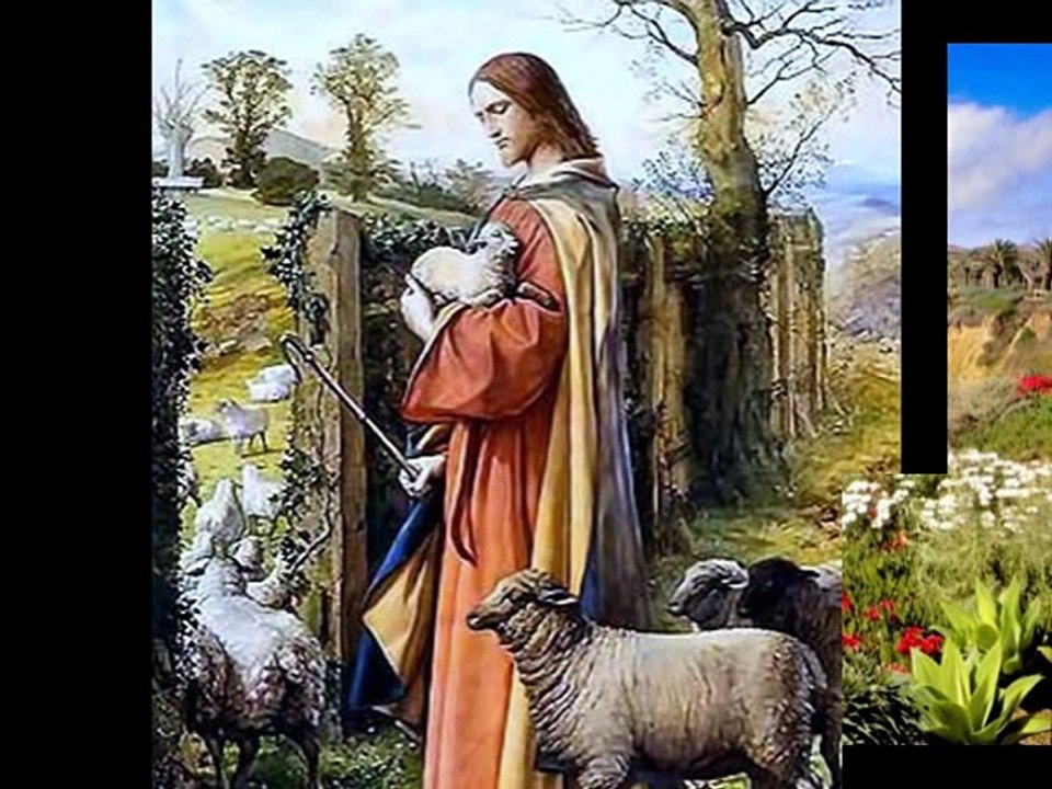 Shepherd Me