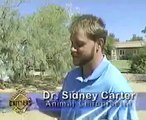 Dr. Sidney Carter - Las Vegas Animal Chiropractor