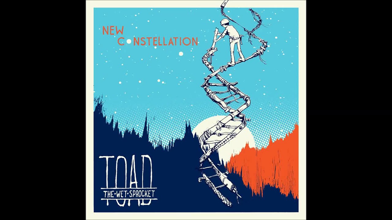 Toad the Wet Sprocket -  Rare Bird