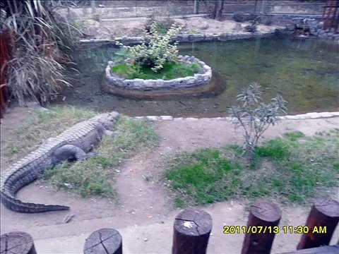 Animales del Zoológico de Córdoba.