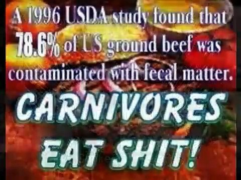 PETA Vegan Vegetarian Animal PICTURES Cute Pet Fur Dissect Meat Farm Cat Dog Peta2