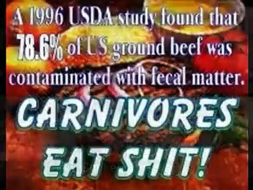 PETA Vegan Vegetarian Animal PICTURES Cute Pet Fur Dissect Meat Farm Cat Dog Peta2