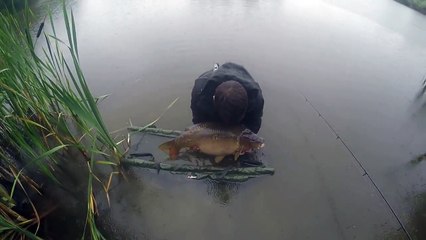 CARP FISHING - "SOVEREIGN" 32lbs - FURZEBRAY LAKES