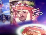Zaheer Ahmed Abro Married Movies  Mix Part