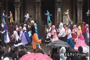 【東大生が】チルノのパーフェクトさんすう教室【踊ってみた】'11駒場祭