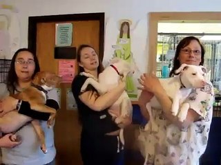 Gilligan, Ginger & Mary Ann