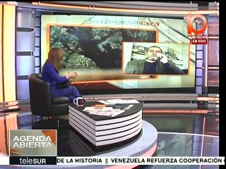 Jofré: Erdogan busca fortalecerse en Turquía atacando causa kurda
