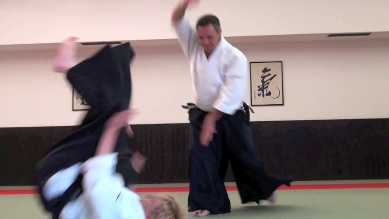 Les sélections techniques Aikido de Michel Erb Sensei Part 3