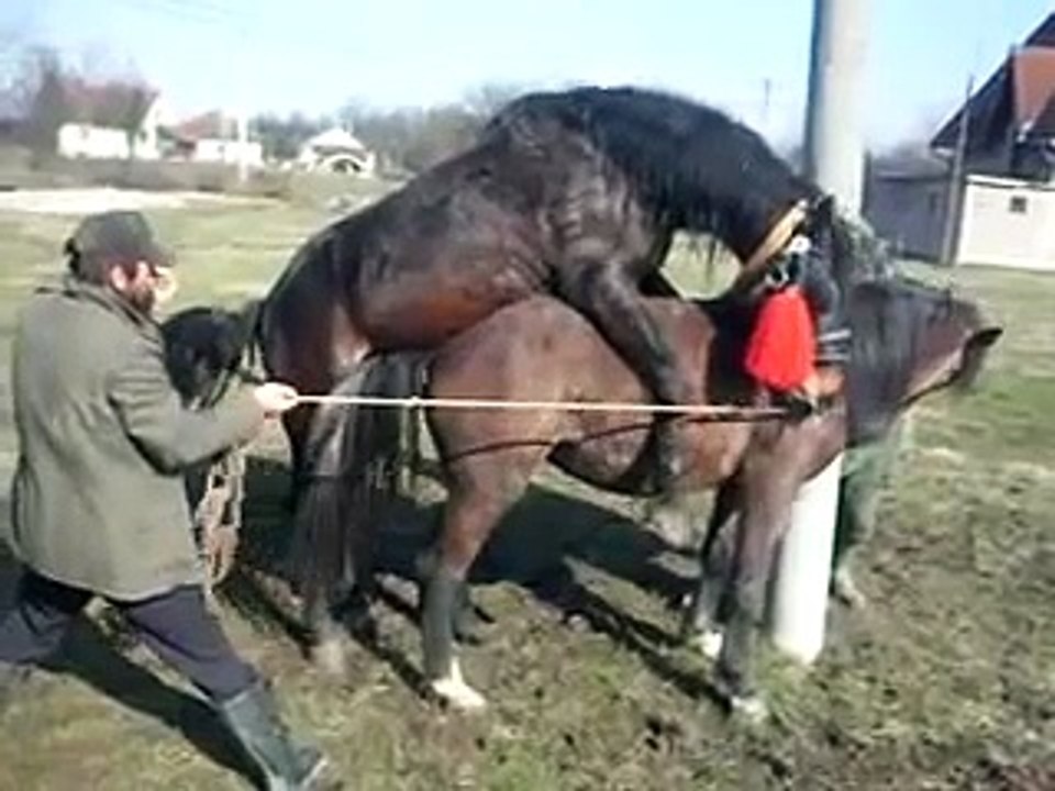 Parenje.avi