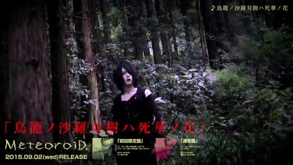 MeteoroiD - 鳥籠ノ沙羅双樹ハ死華ノ花【MV SPOT】