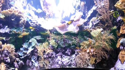 Installing an In Line TDS Meter