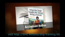 Dog Training Tricks Video