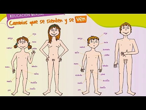 Cambios corporales en la Adolescencia. Salud y Adolescencia.