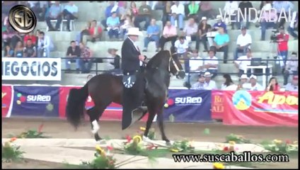 Consul de Gran Dinastia y sus Crias