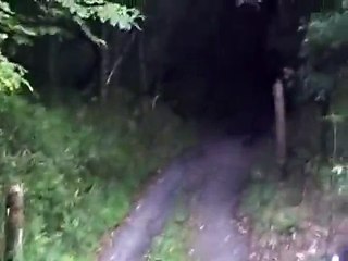 茨城県東海村雑木林　クワガタ採り　08・9・14