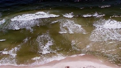 Panama City Beach Florida Ocean Waves in HD