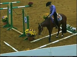 2011 CONGRESS CHAMPIONS 3 and 4 yr old Trail Stakes Class