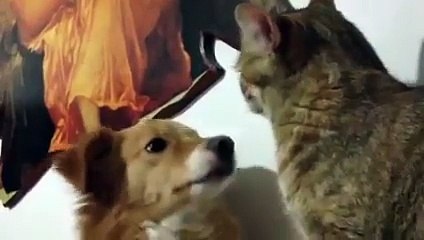 Oh my god that tenderness