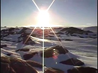 Auster Emporer Penguin Rookery
