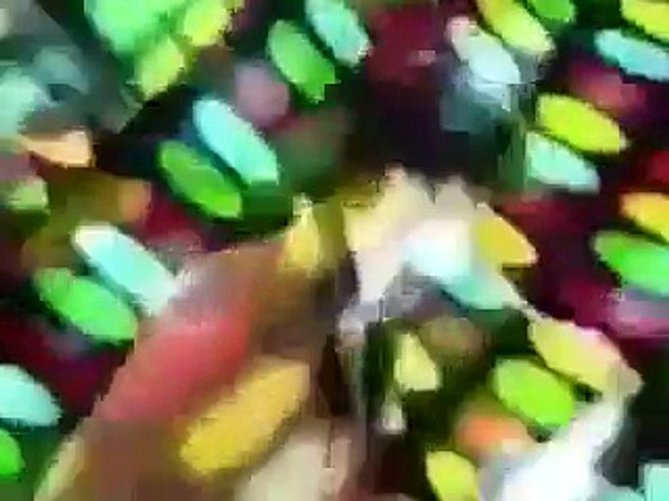 めちゃイケ イケてるッ！CDTV 6 布袋2：50