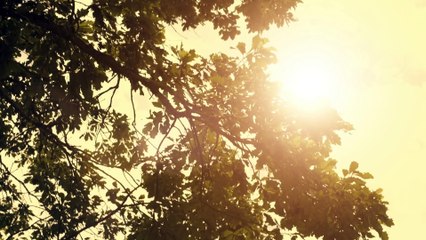 Miss May I - Deathless (Official Music Video)