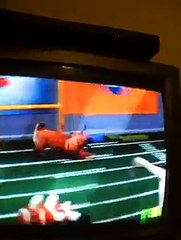Animal Planet Puppy Bowl VI (6) AAHA, Pedigree Bissel. 2nd Quarter
