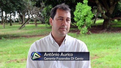 Fazenda Nelore Di Genio