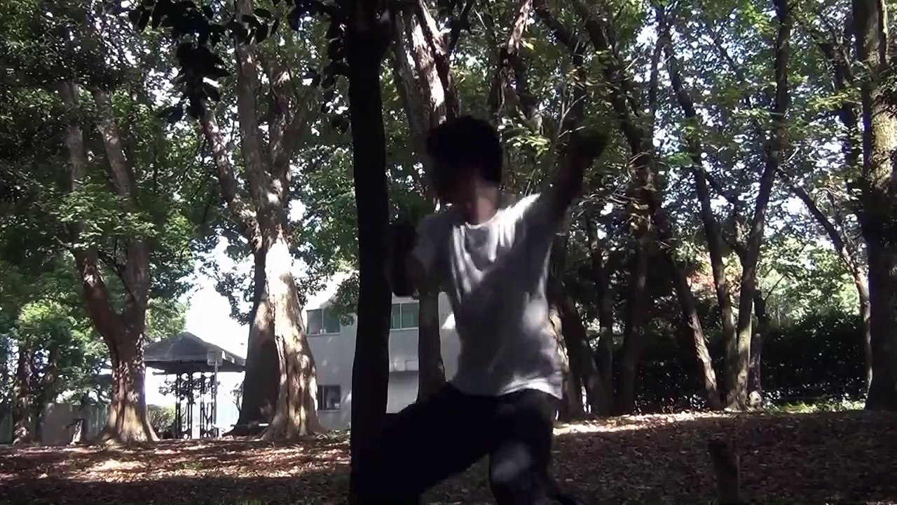 貼山靠 八極拳の六大開拳(中国武術  武学推拡拳社)
